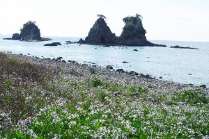20160510_02