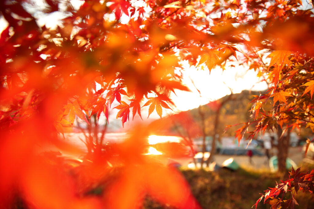 旅行へ行こう 関東で紅葉と温泉を楽しむ 10月と11月のおすすめ 日本国内を旅しよう