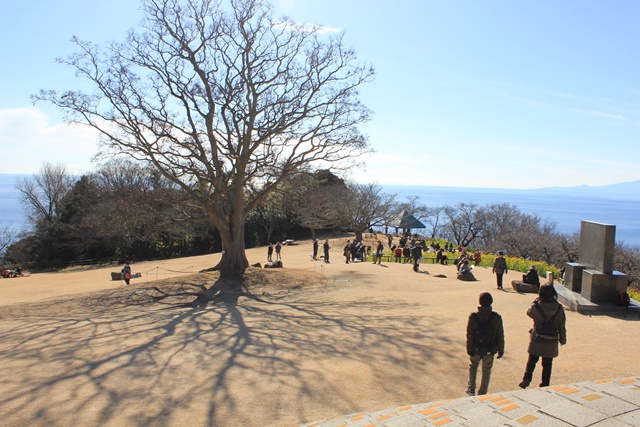吾妻山公園の芝生広場