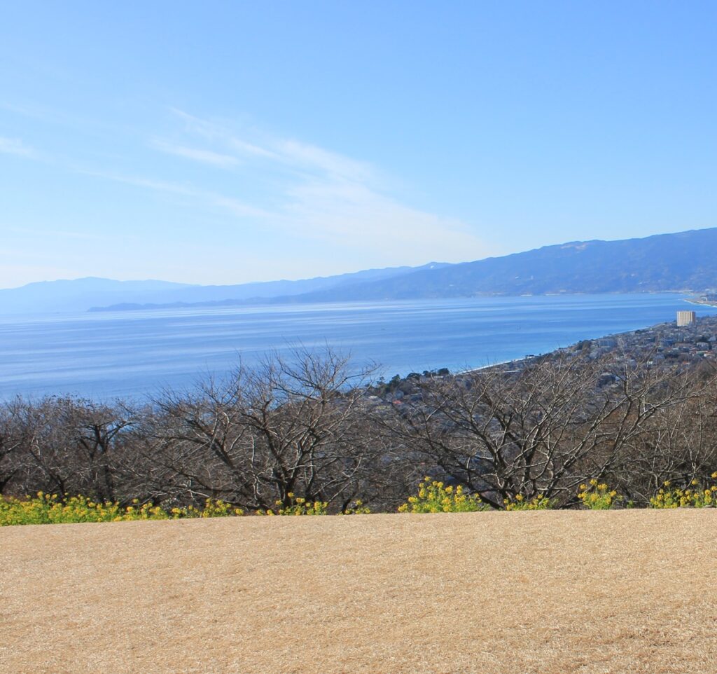 吾妻山公園からの海の眺め