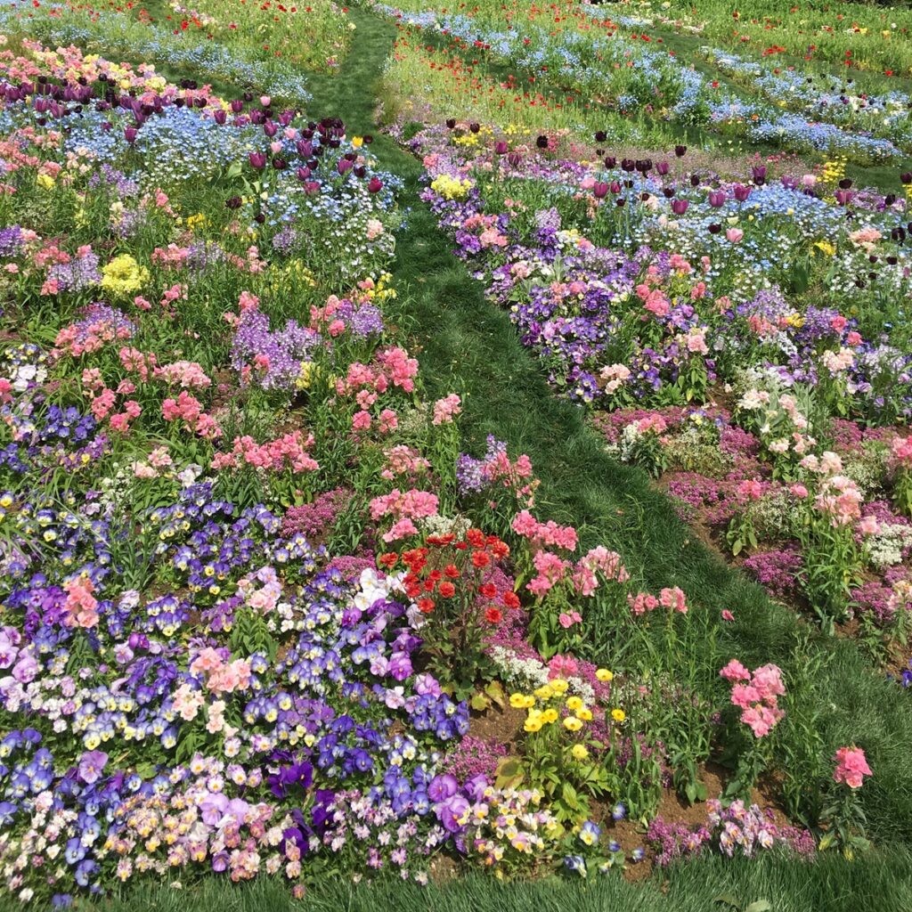 里山ガーデンの花壇